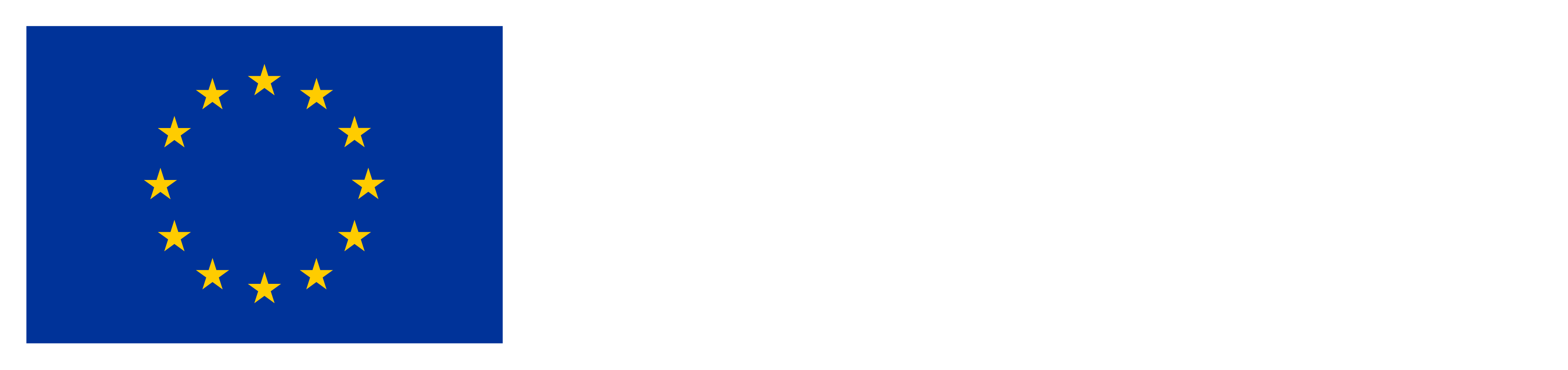 Cofinanciado pela União Europeia