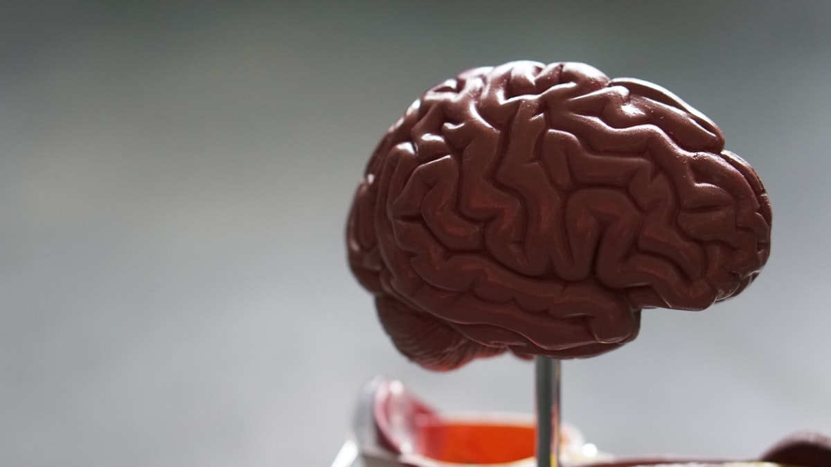 MSc in Human Physiology