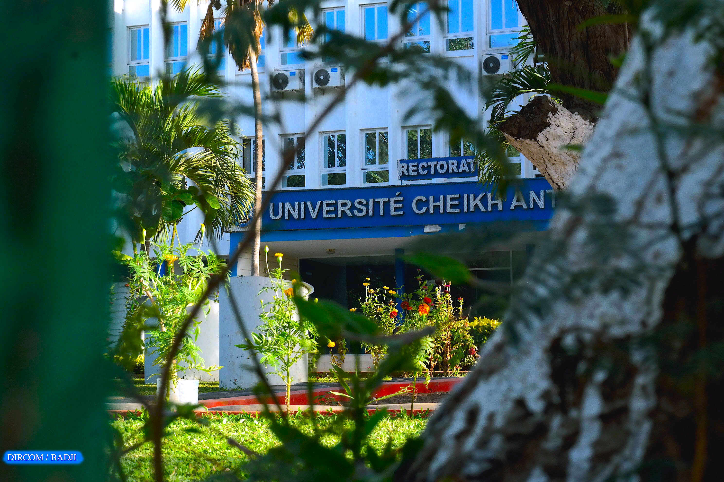 Cheikh Anta Diop University of Dakar