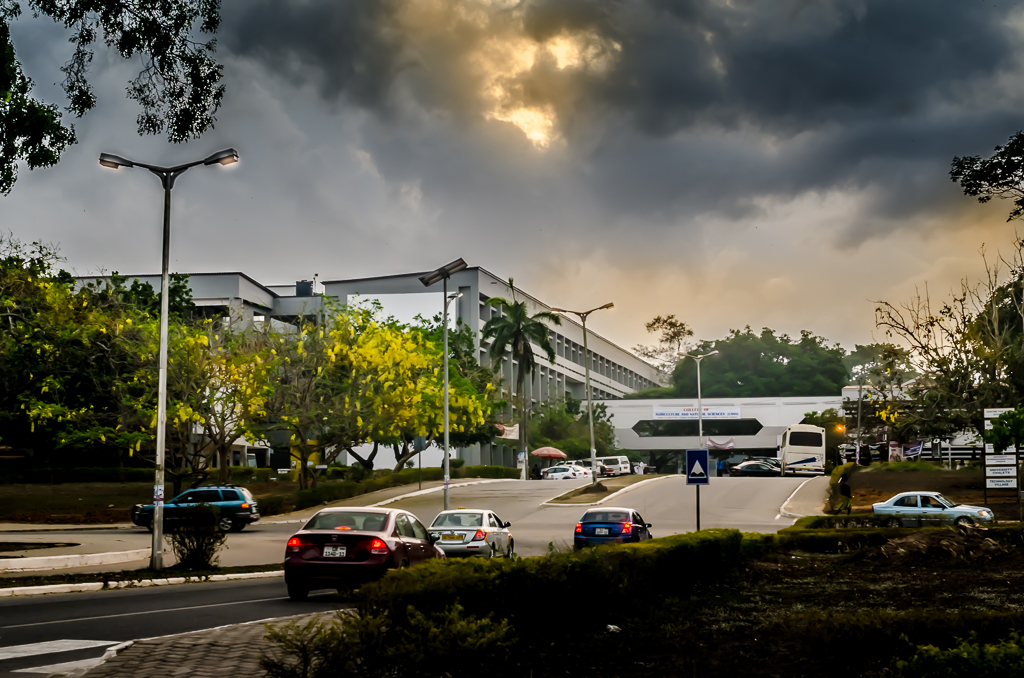 University of Cape Coast