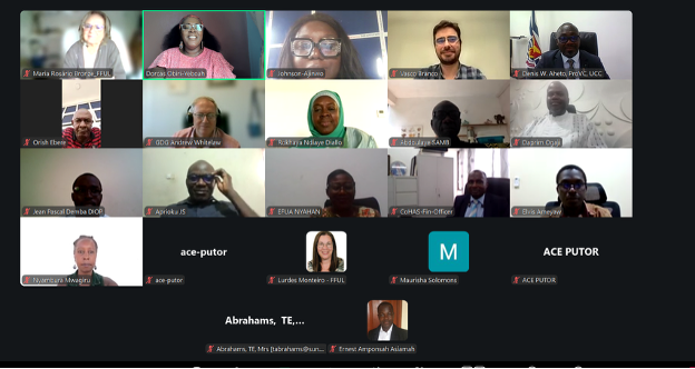 Virtual inception meeting with partners joining via Zoom